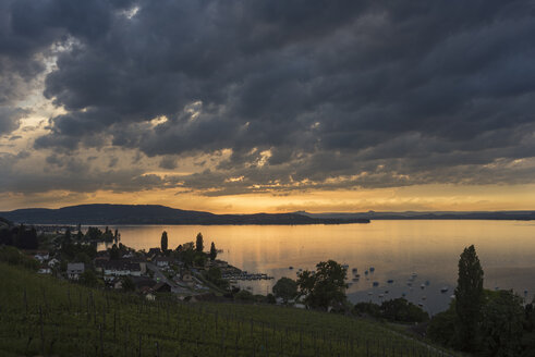 Schweiz, Thurgau, Salenstein, Blick über den Bodensee, Halbinsel Höri und Hegau am Horizont - ELF001775