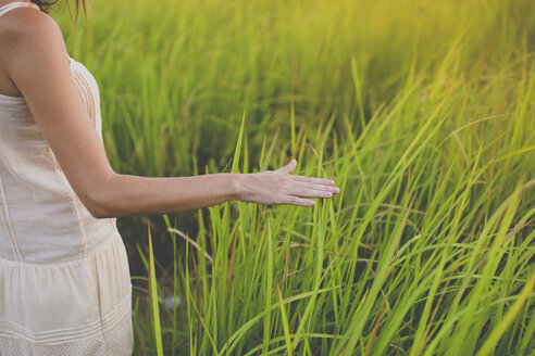 Hand of woman touching grasses - KNTF000347