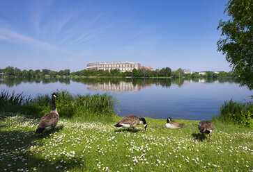 Deutschland, Bayern, Nürnberg, Dokumentationszentrum Reichsparteitagsgelände, Dutzendteich, Kanadagänse - SIE007038