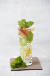 Ein Glas Wasser mit Holunderblüten, Zitrone, Grapefruit und Zitronenmelisse aromatisiert - MYF001507