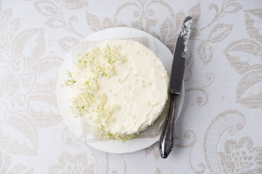 Torte mit Holunderquarkcreme, dekoriert mit Holunderbeeren - MYF001518