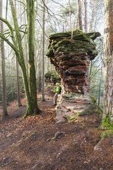 Deutschland, Rheinland-Pfalz, Wanderer beim Kartenlesen im Dahner Felsenland an einem Wintertag - GWF004750