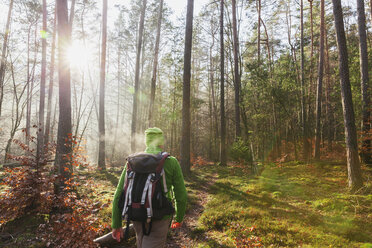 Deutschland, Rheinland-Pfalz, Rückenansicht eines Wanderers mit Rucksack im Dahner Felsenland an einem Wintertag - GWF004754