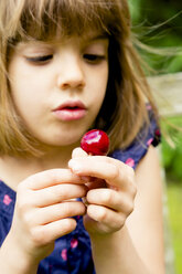 Hands of little girl holding cherry - LVF004958