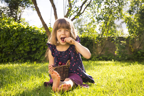 Kleines Mädchen mit Körbchen mit Kirschen auf einer Wiese im Garten sitzend, lizenzfreies Stockfoto