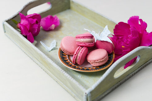 Macarons mit Erdbeeren und Himbeeren - MYF001524