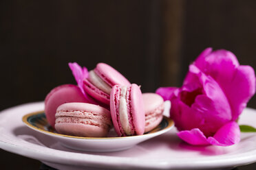 Macarons mit Erdbeeren und Himbeeren - MYF001525