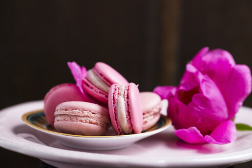 Strawberry and raspberry macarons - MYF001525