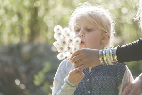 Blond little girl blowing seeds of an umbel into the air with helping hand of her mother - TCF004972