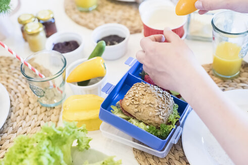 Junge packt Brotdose mit gesundem Essen - MJF001850