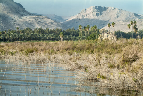 Israel, west shore of Sea of Galilee - HWOF000129