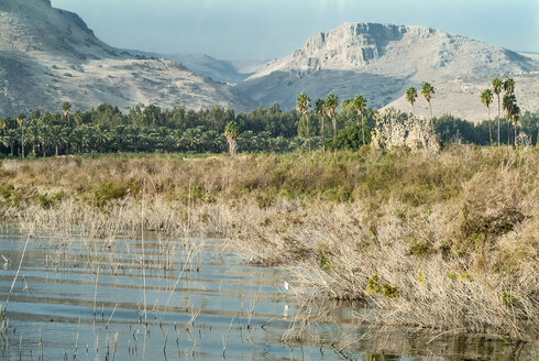 Israel, Westufer des Sees von Galiläa - HWOF000129
