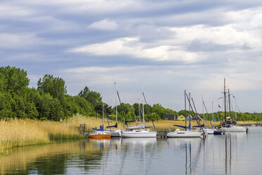 Deutschland, Bitterfeld, Goitzschesee, Großer Goitzschesee, Segelboote - PUF000543