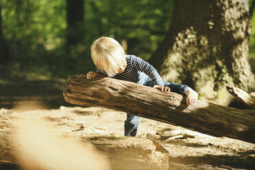 Kleiner Junge spielt im Wald - SBOF000135