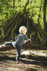 Kleiner Junge spielt im Wald - SBOF000136