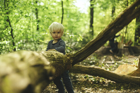 Kleiner Junge im Wald - SBOF000137
