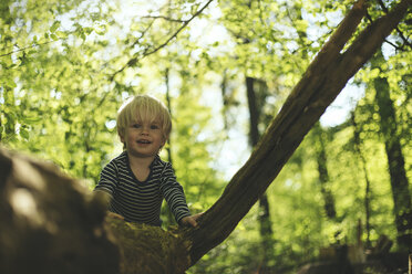 Happy little boy in forest - SBOF000138