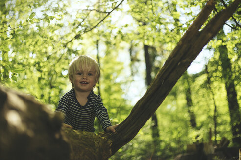 Glücklicher kleiner Junge im Wald - SBOF000138