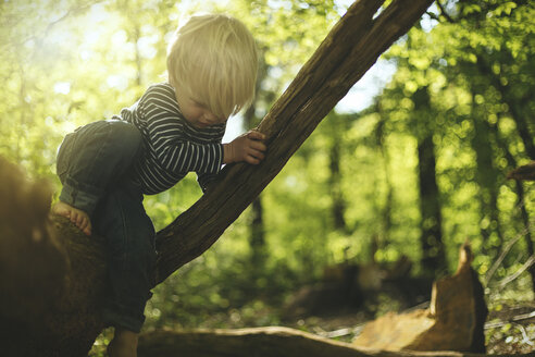 Kleiner Junge spielt im Wald - SBOF000139