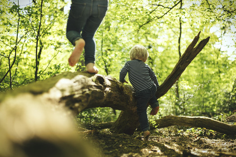 Two children playing in forest stock photo