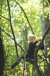 Mädchen im Wald beim Klettern im Baum - SBOF000143