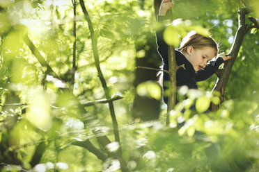 Mädchen im Wald beim Klettern im Baum - SBOF000146