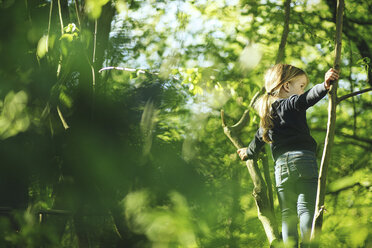 Mädchen im Wald beim Klettern im Baum - SBOF000148