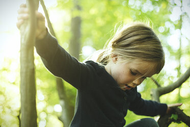 Girl in forest climbing in tree - SBOF000149