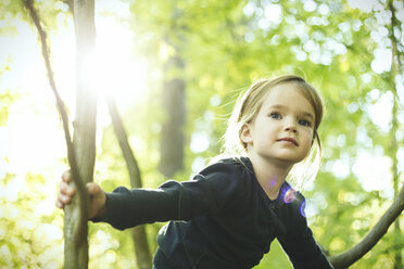 Girl in forest climbing in tree - SBOF000150