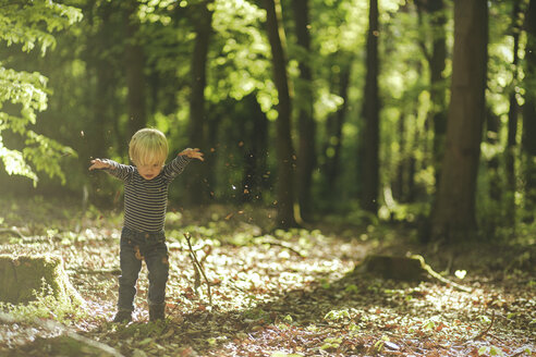 Kleiner Junge spielt im Wald - SBOF000158