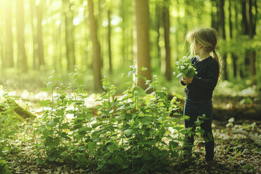 Girl in forest picking flowers - SBOF000159