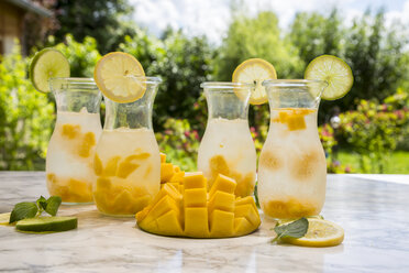 Fruchtwasser mit Mango, Limette und Zitrone - SARF002789