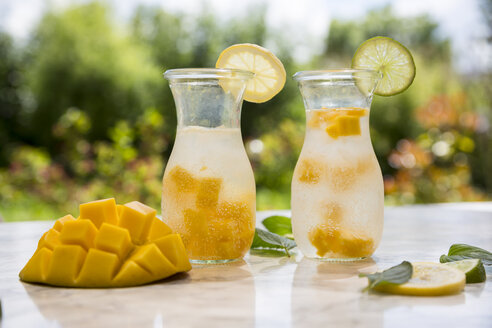 Fruchtwasser mit Mango, Limette und Zitrone - SARF002791