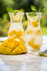 Fruchtwasser mit Mango, Limette und Zitrone - SARF002792