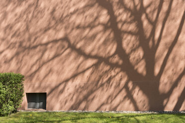 Schatten eines Baumes auf der Fassade - SKAF000017
