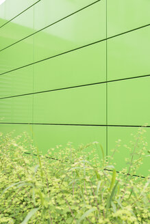 Germany, Wuppertal, green facade of university - SKAF000018