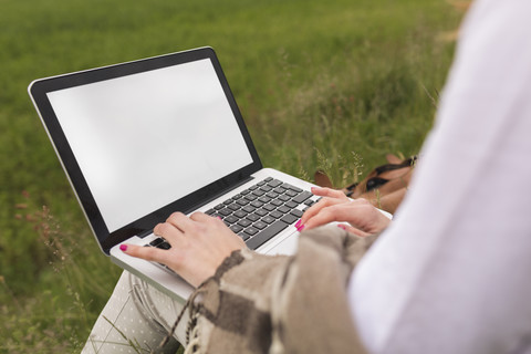 Frau mit Laptop auf einer Wiese, Teilansicht, lizenzfreies Stockfoto