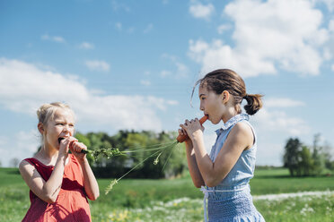 Two girls outdoors eating organic carrots - MJF001911