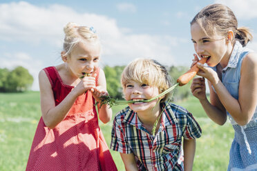 Verspielte Kinder essen im Freien Bio-Möhren - MJF001912