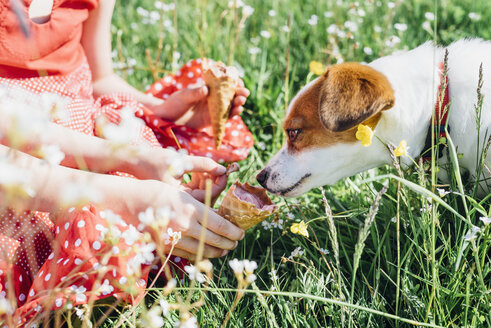 Mädchen hält Eiswaffel für Hund - MJF001952