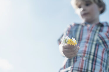 Boy holding wildflowers - MJF001968
