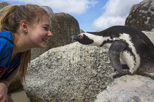 South Africa, Capetown, teenage girl and african penguin, Spheniscus demersus - YRF000111