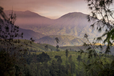 Indonesia, Java, Mountain landscape - KNTF000386