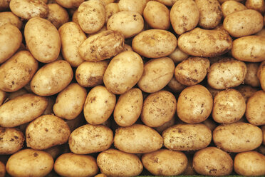 Raw potatoes - BZF000306