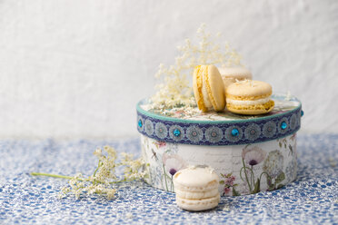 Macarons mit Holunderblütencreme - MYF001620