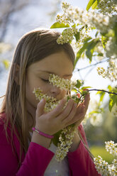 Kleines Mädchen riecht an den Blüten eines Baumes - SARF002796