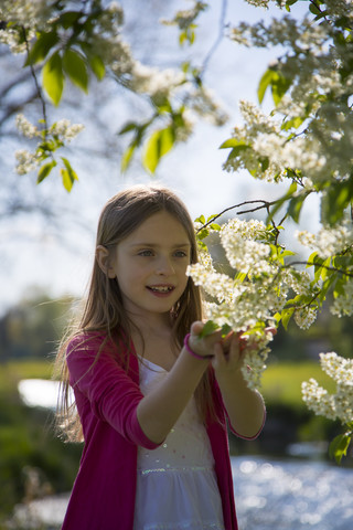 Kleines Mädchen betrachtet Blüten eines Baumes, lizenzfreies Stockfoto