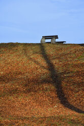 Park bench with autumn leaves and the shadow of a tree - AXF000783