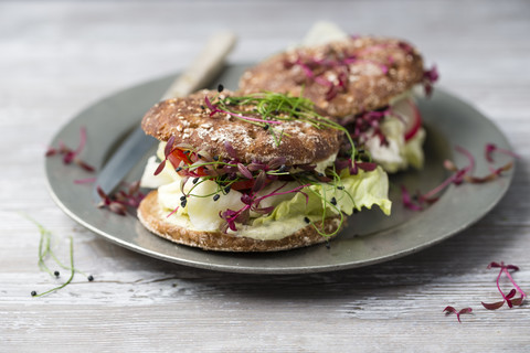 Veggie burger, wholemeal, vegan, with salad, radish, tomato, rock chives cress, yoghurt herb sauce stock photo