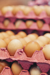 Braune Bio-Eier aus Freilandhaltung auf Eierkarton, Nahaufnahme - BZF000312